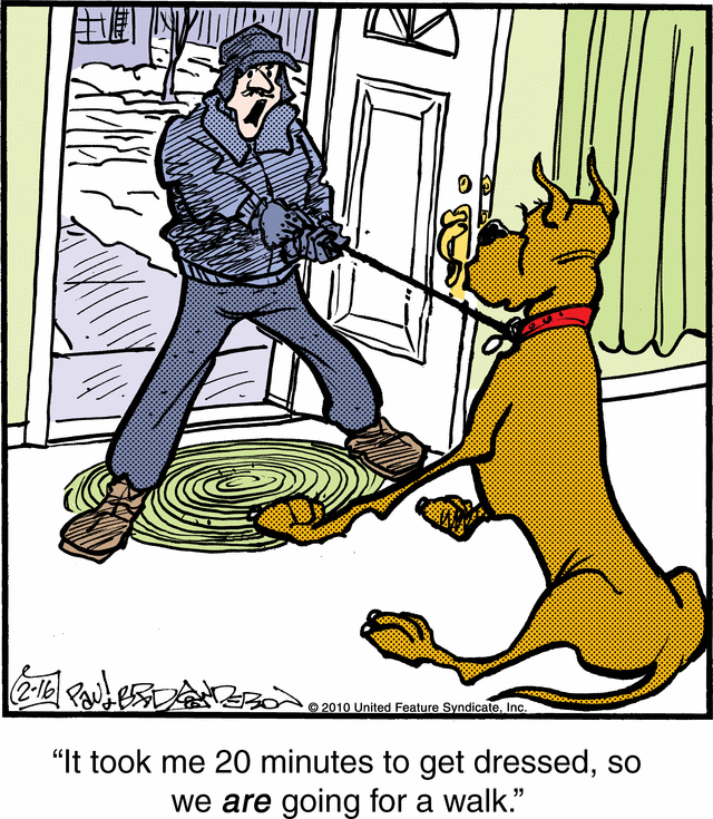 marmaduke